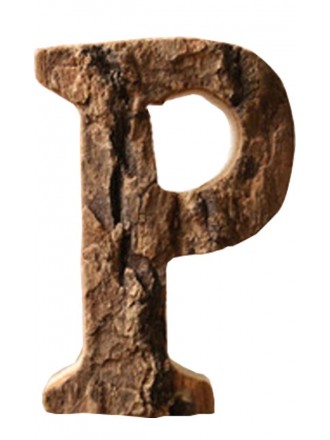 Wooden Letter 'P' Hanging Sign Wall decoration For Home/Office/Shop Name
