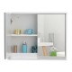 Modern 22 x 18 inch Bathroom Wall Mirror Medicine Cabinet